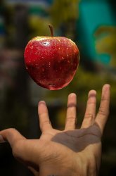 Vignette de Comprendre les subtilités de nos sens 