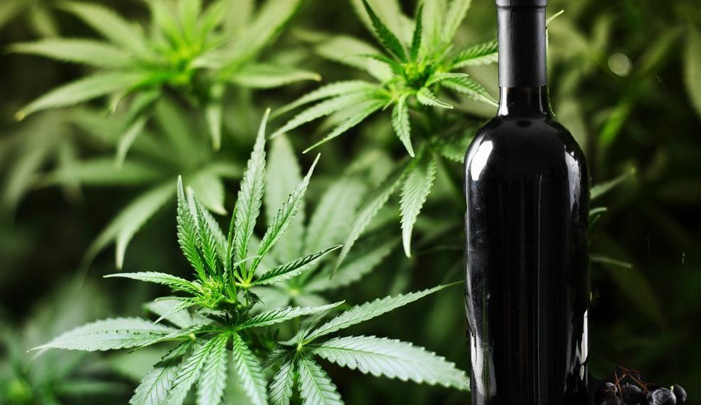 marijuana wine